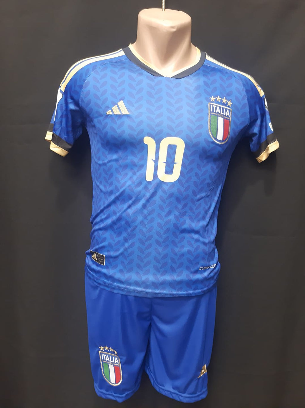 ITALIA RASPADORI