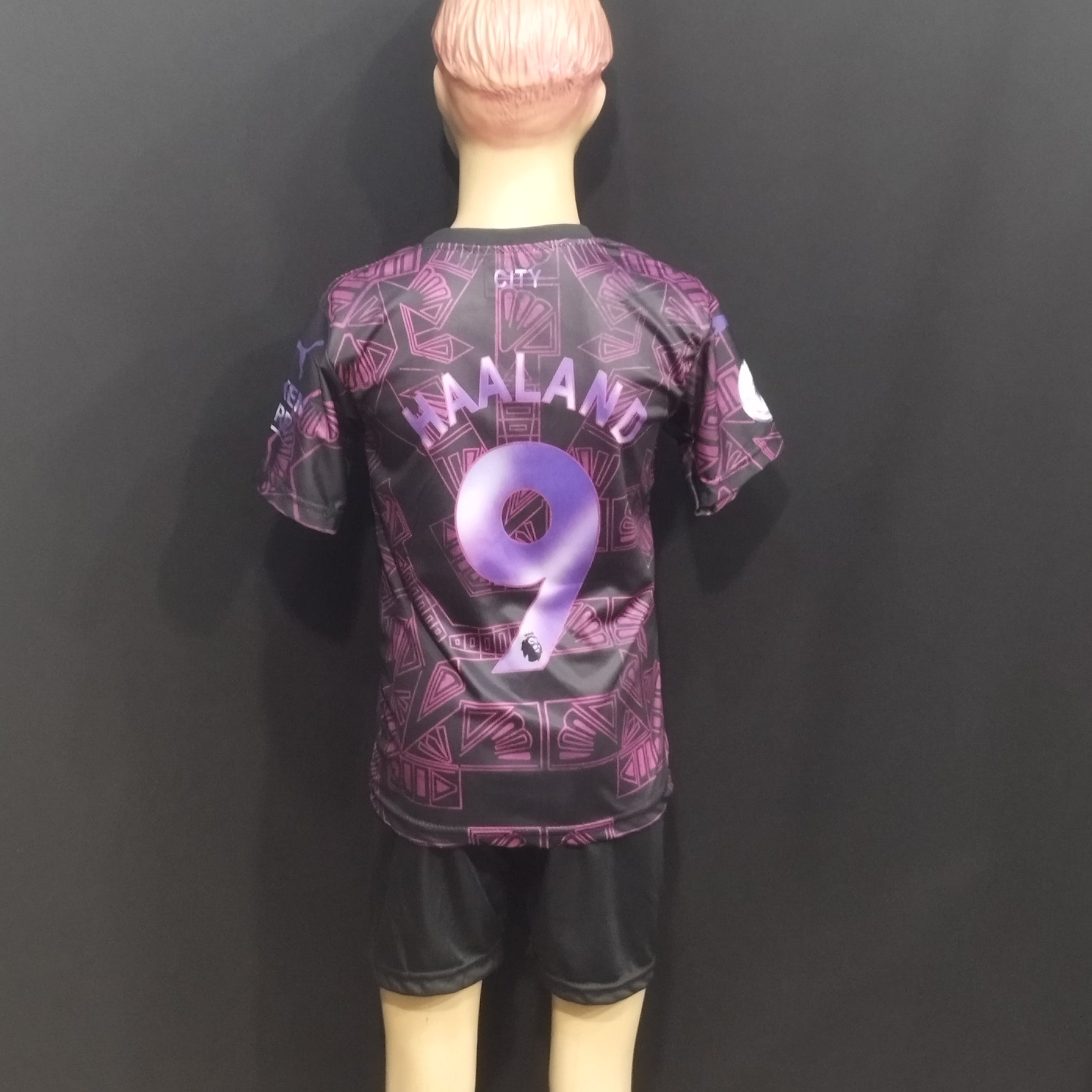 ХААЛАНД МАНЧЕСТЕР СИТИ