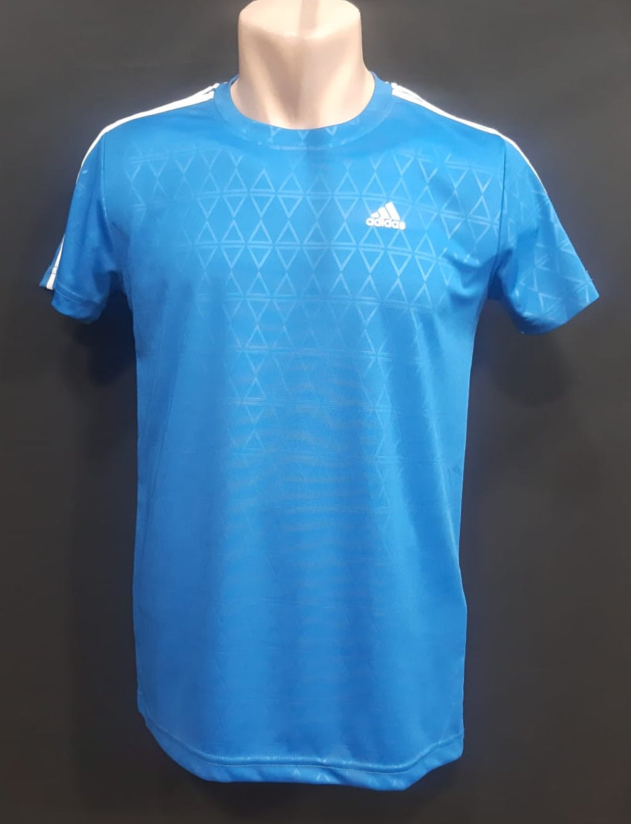 ՄԱՐԶԱՇԱՊԻԿ