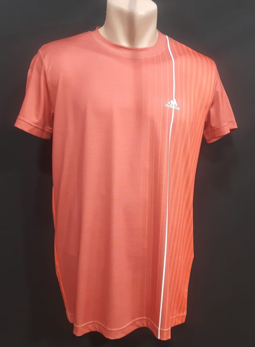 ՄԱՐԶԱՇԱՊԻԿ